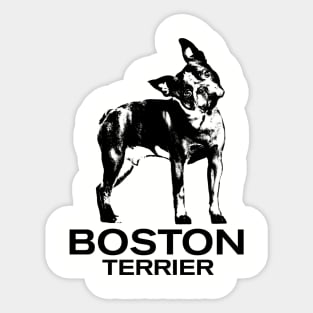 Boston Terrier Sticker